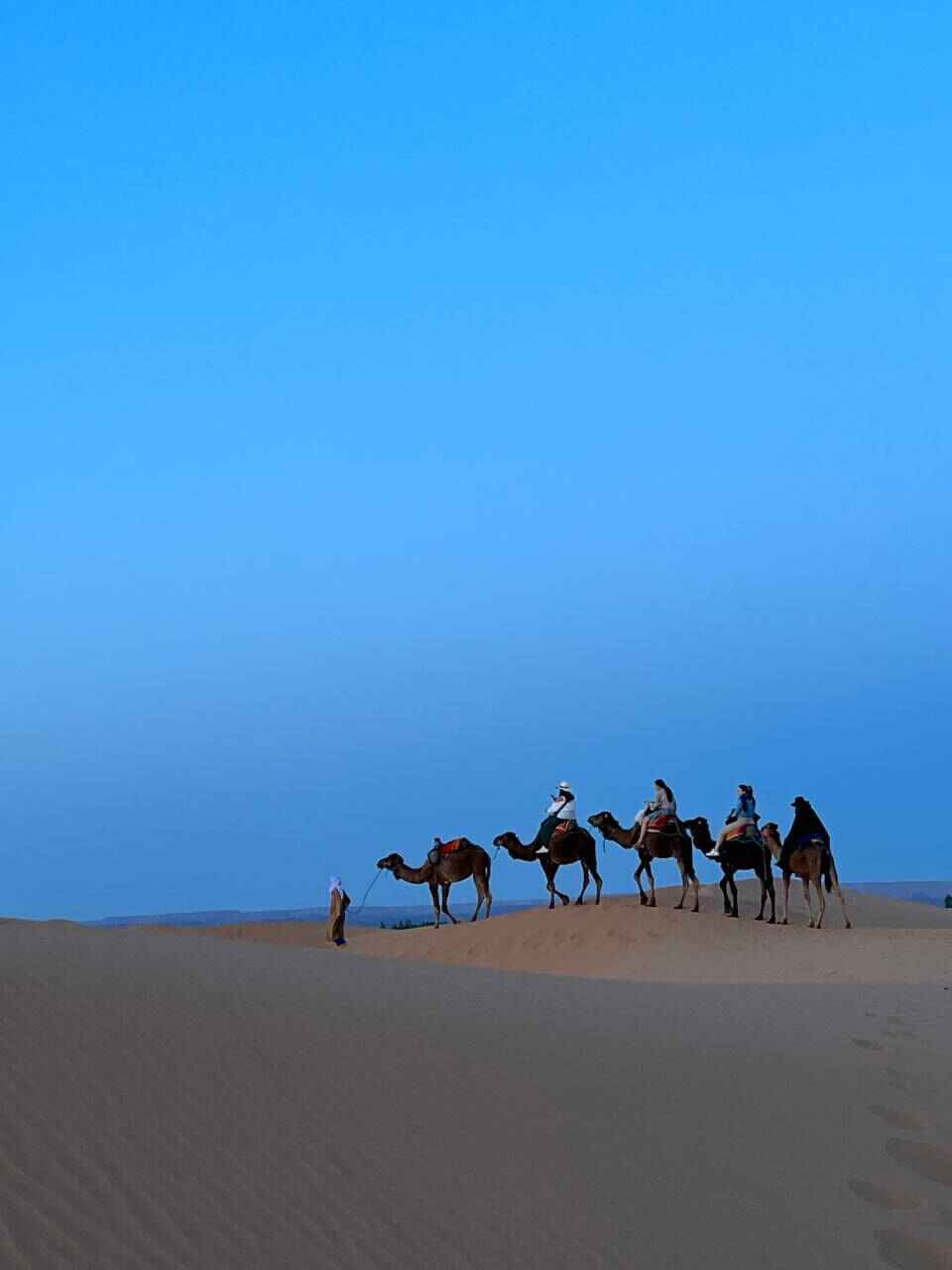 morocco desert sahara